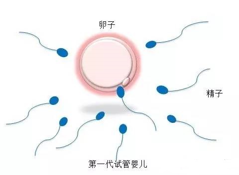 好韵多次失败疑难中心